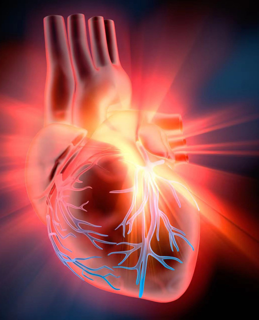Coronary